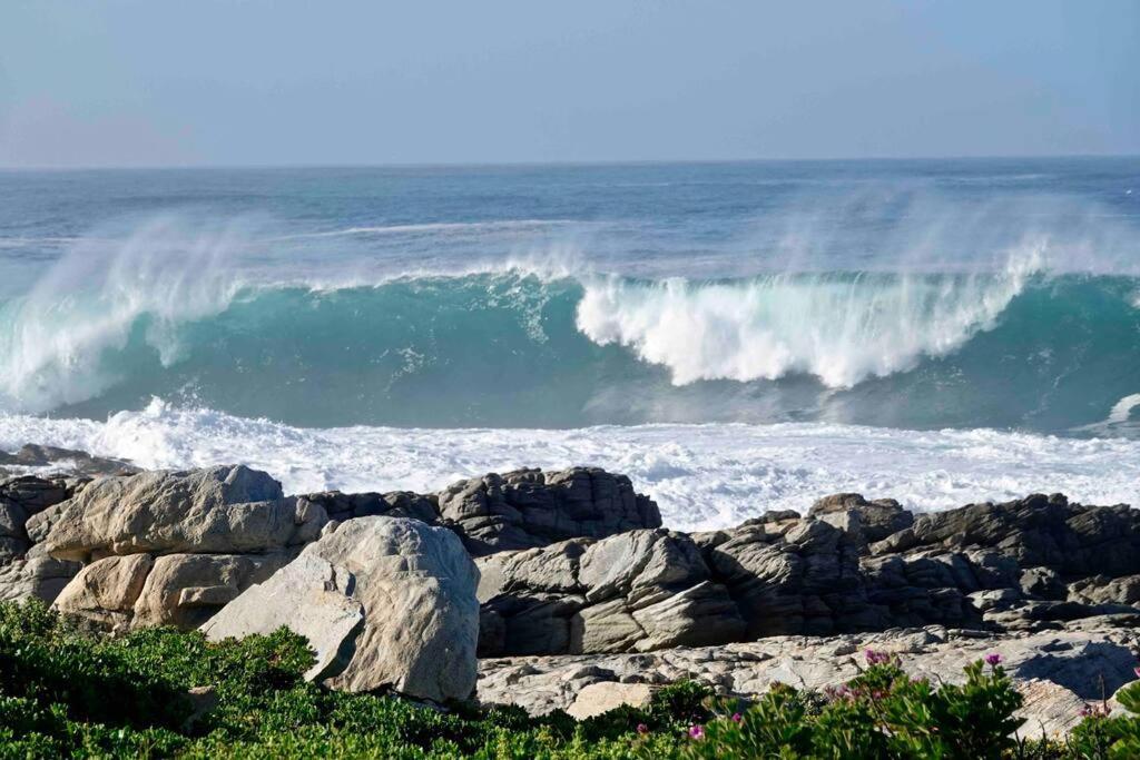 Whales & Waves Villa Hermanus Kültér fotó